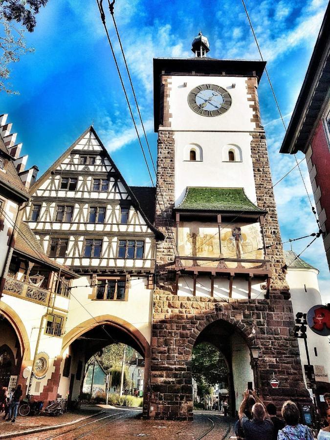 Historical Luxury Homes - Stadtvilla Mit Jacuzzi Und Garten Freiburg im Breisgau Exterior foto